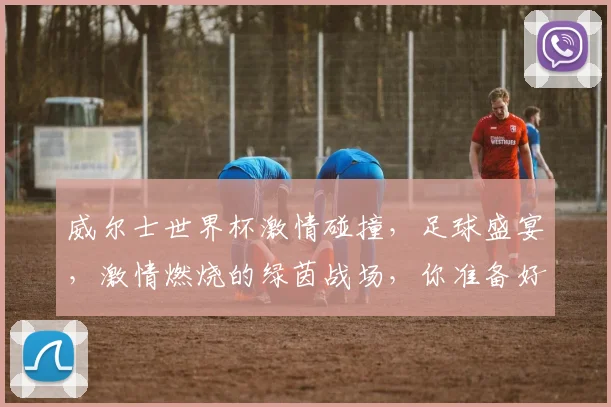 威尔士世界杯激情碰撞，足球盛宴，激情燃烧的绿茵战场，你准备好了吗
