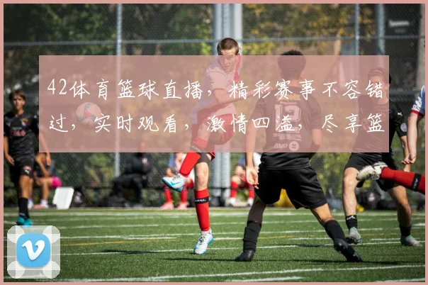42体育篮球直播，精彩赛事不容错过，实时观看，激情四溢，尽享篮球盛宴