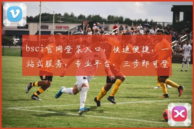bsci官网登录入口，快速便捷，一站式服务，专业平台，三步即可登录，体验非凡