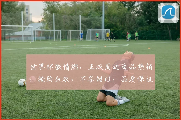 世界杯激情燃，正版周边商品热销，抢购狂欢，不容错过，品质保证