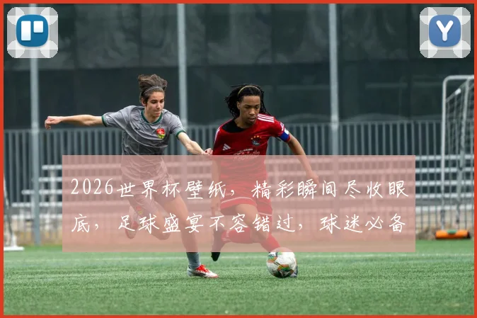 2026世界杯壁纸，精彩瞬间尽收眼底，足球盛宴不容错过，球迷必备